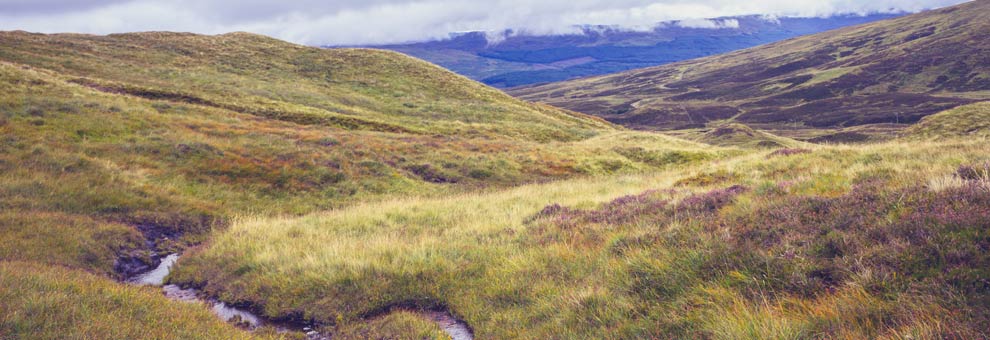 Water, the mark of Scotch whisky