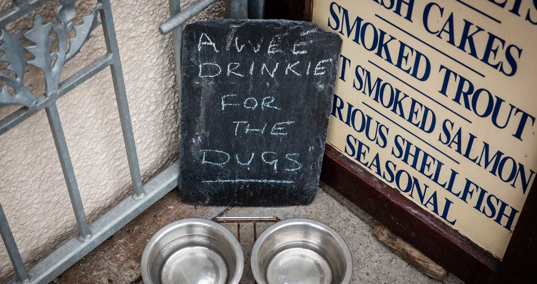 a-refreshment-for-doggies-sir-edwards-roatrip